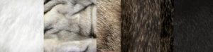 Types of Fur, Fur Stole