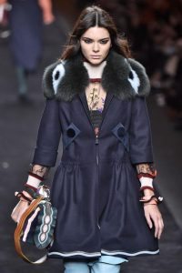 Fendi Fur