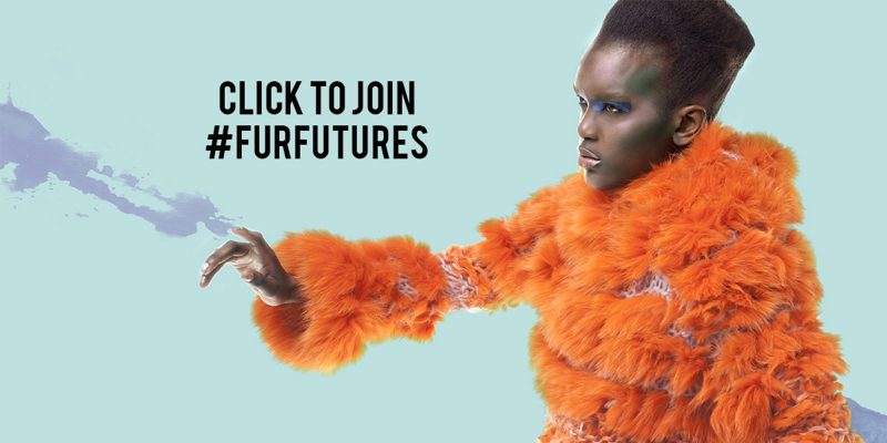 Fur Futures