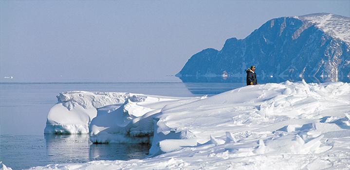 Newfoundland, Faux Fur Poisonous microfibres