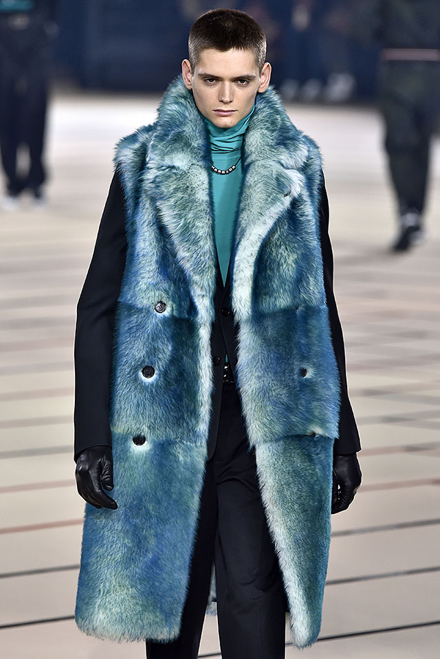 Dior Homme, Paris, Menswear, Fall Winter 2017