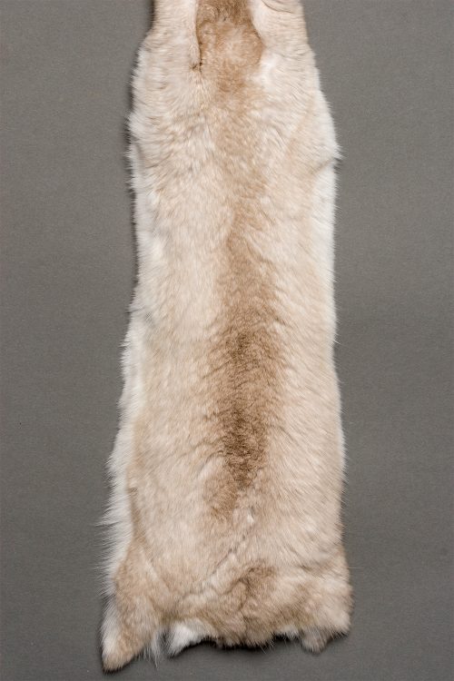 <strong></strong> Kopenhagen Fur, Wild Fur