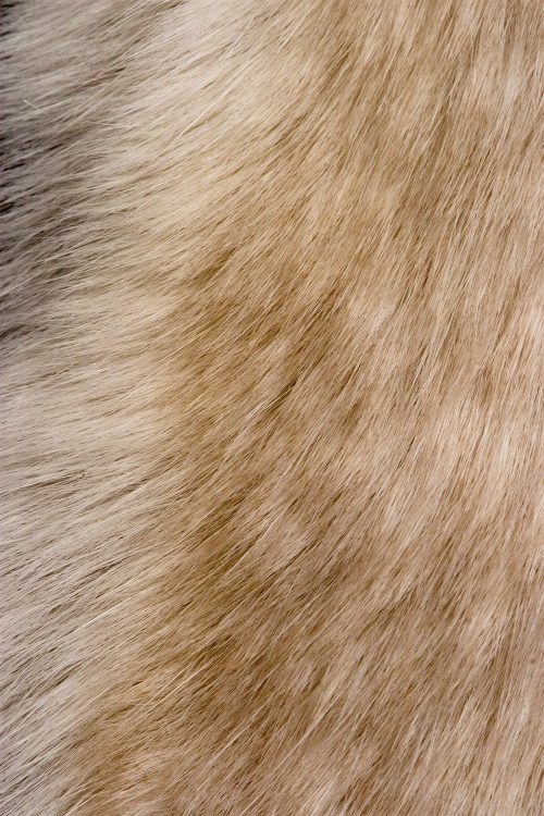 <strong></strong> Kopenhagen Fur, Wild Fur