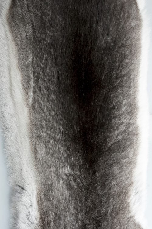 <strong></strong> Kopenhagen Fur, Wild Fur