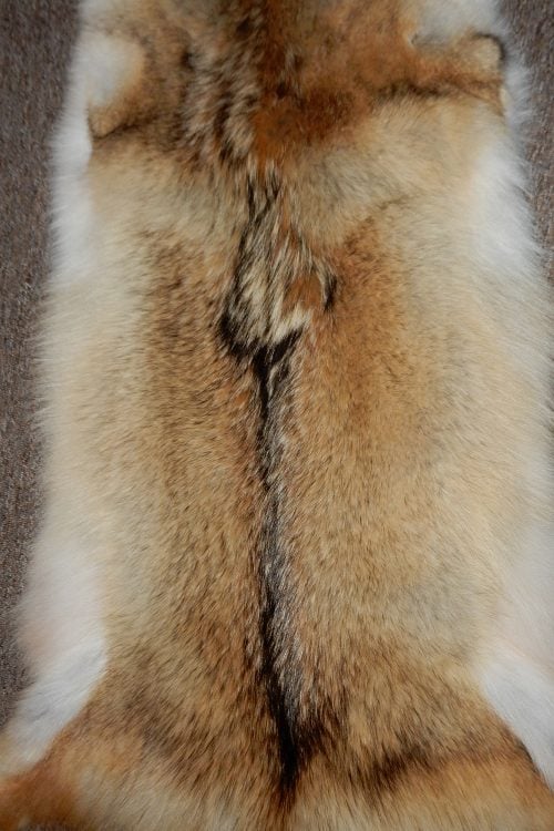 <strong></strong> Wild Fur