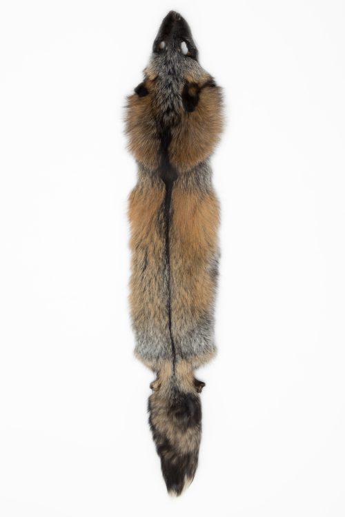 <strong></strong> Farmed Fur, NAFA