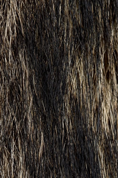 <strong></strong> Kopenhagen Fur, Wild Fur