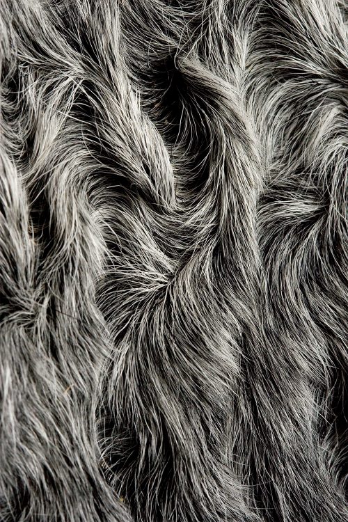 <strong></strong> Kopenhagen Fur, Wild Fur
