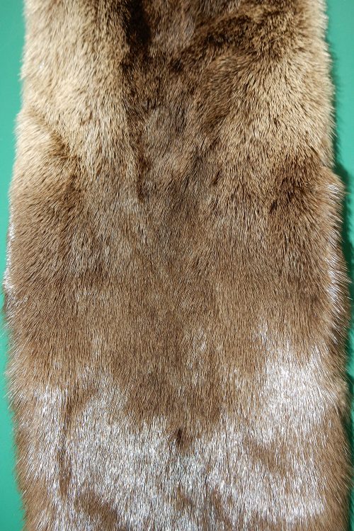 <strong></strong> Wild Fur