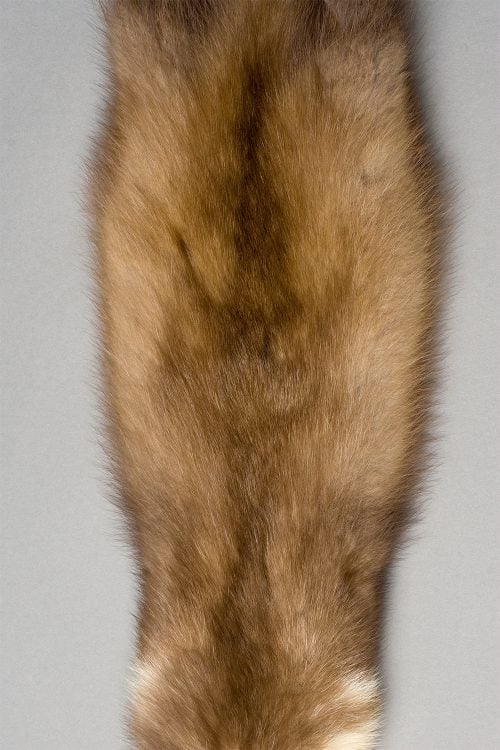 <strong></strong> Kopenhagen Fur, Wild Fur