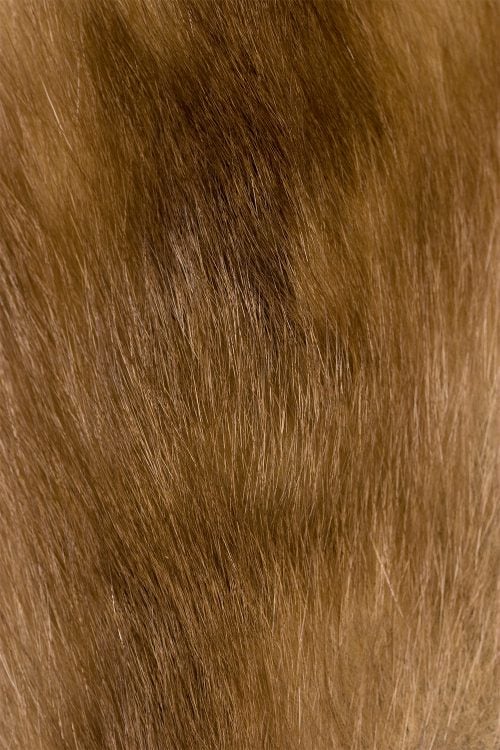 <strong></strong> Kopenhagen Fur, Wild Fur