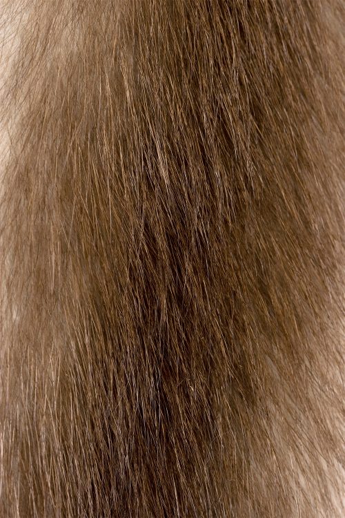 <strong></strong> Kopenhagen Fur, Wild Fur