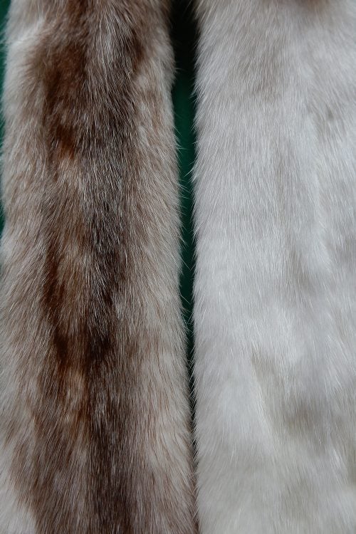 <strong></strong> Wild Fur