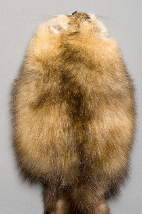 <strong></strong> Kopenhagen Fur, Wild Fur