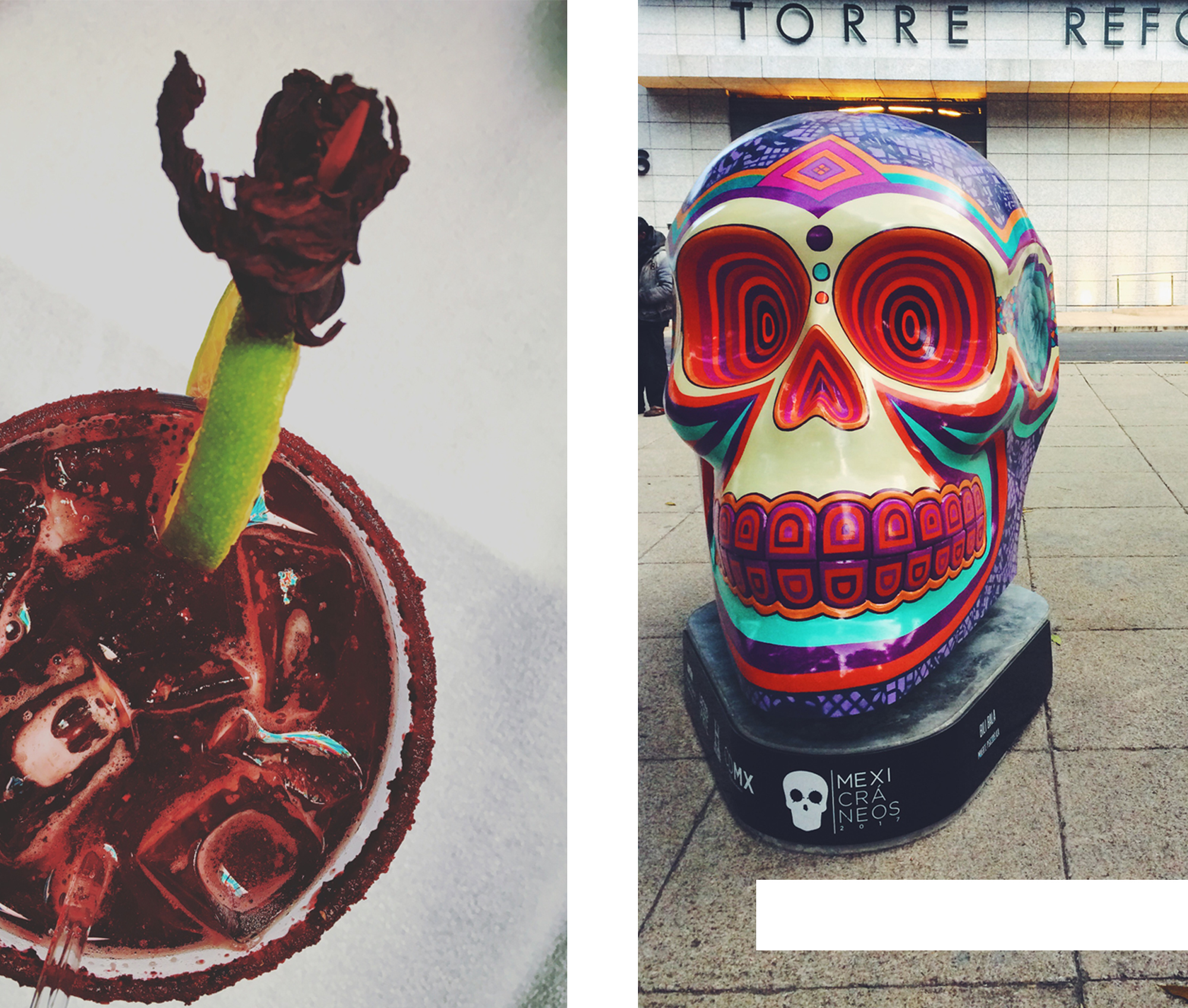 skulls, day of the death, mexico city, fur guru, explore, street art, lifestyle