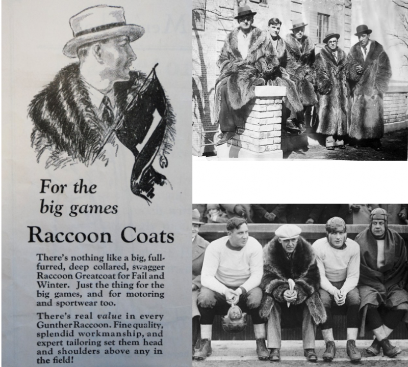 ivy-style-racoon-coat
