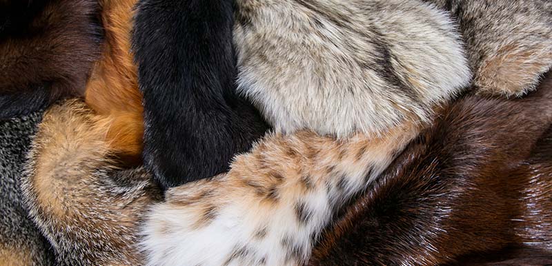 Types of fur